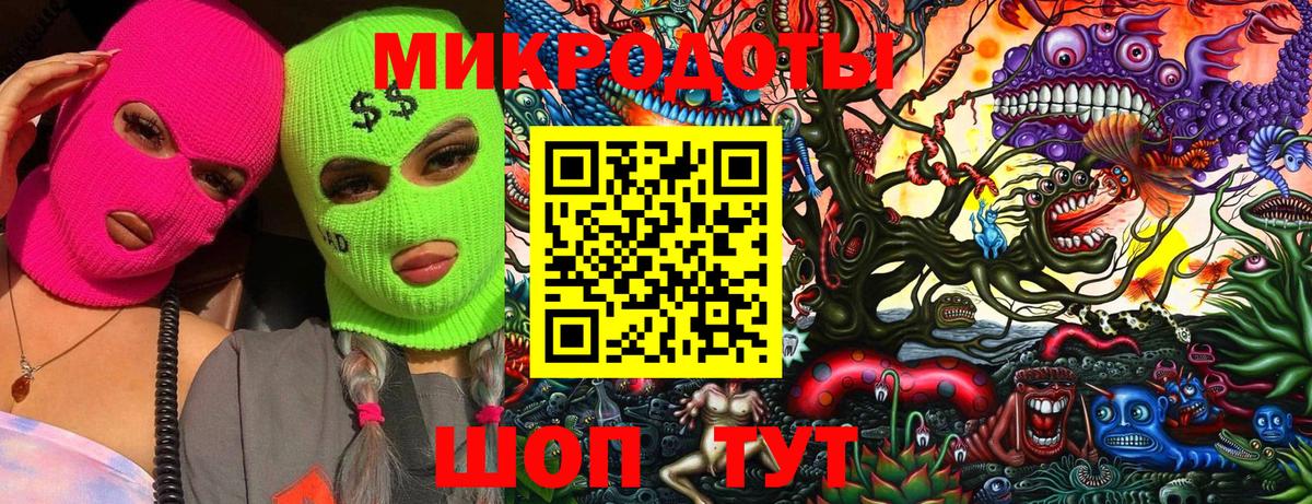 Псилоцибиновые грибы мицелий Калининград