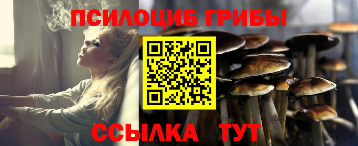 Калининград  Псилоцибиновые грибы мицелий  Вход с VPN  Галлюциногенные грибы Cubensis 